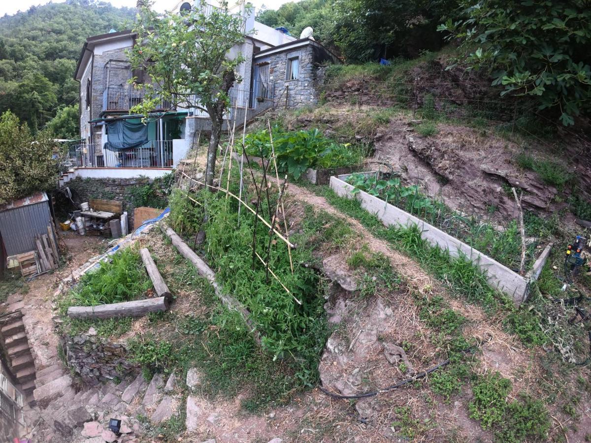 La Valle Degli Orti ลาสเปเซีย ภายนอก รูปภาพ
